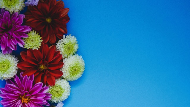 全部命中 全部命中