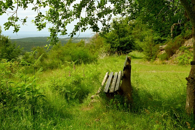 都讓熱刺多 都讓熱刺多